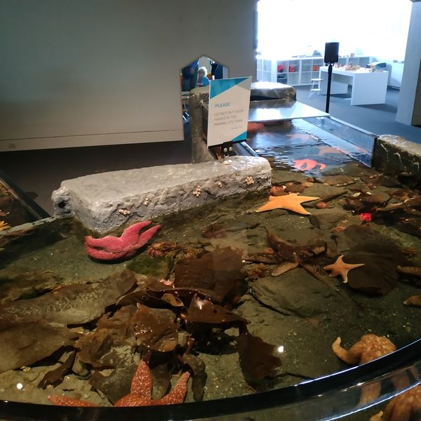 Anchorage Museum - Anchorage - Alaska - Doets Reizen