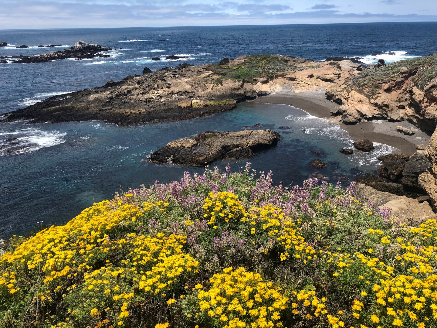 Point Lobos - Big Sur - Highway 1 - California - Amerika - Doets Reizen