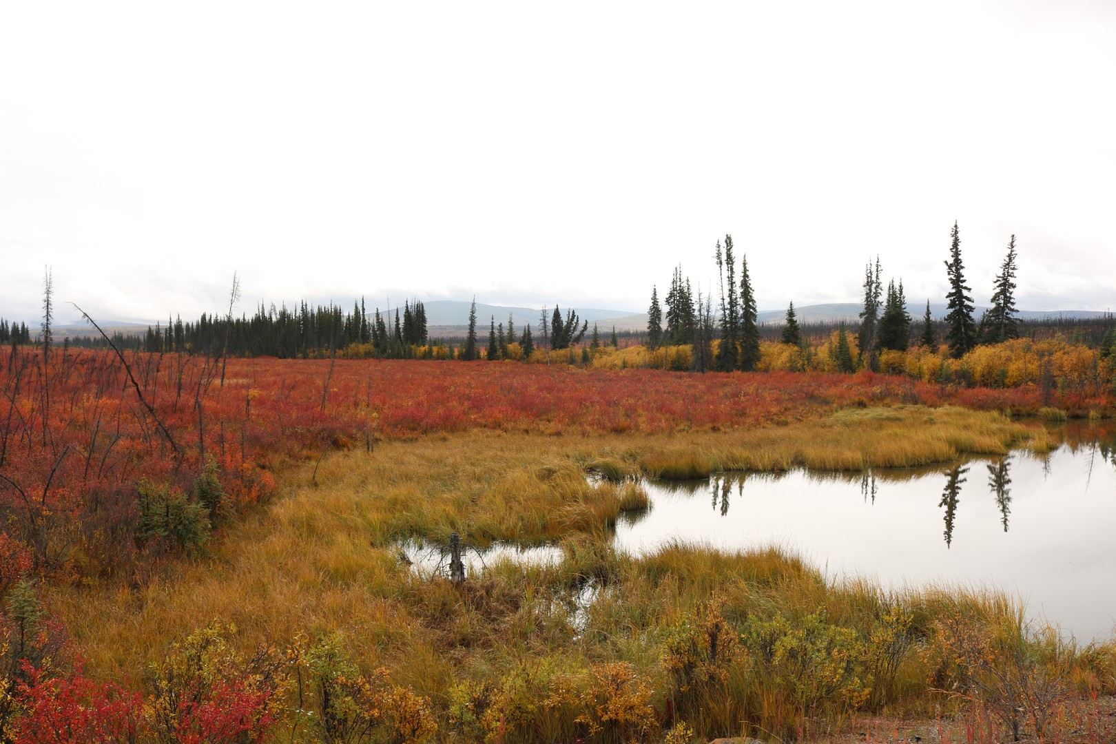 Flight Tour - Kluane National Park - Yukona - Canada - Doets Reizen