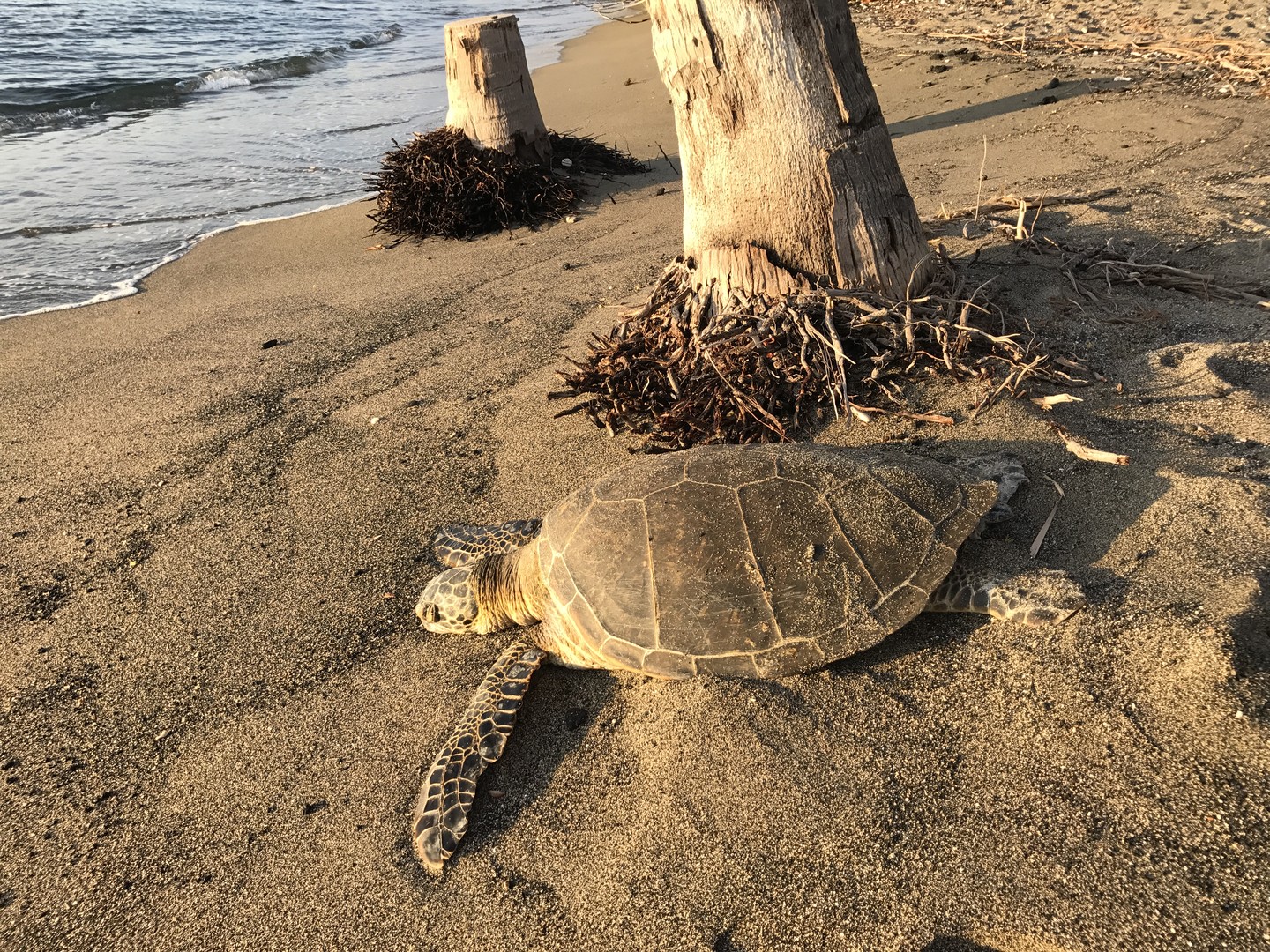 Kauai - Hawaii - Doets Reizen