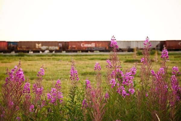 Churchill - Manitoba - Canada - Doets Reizen