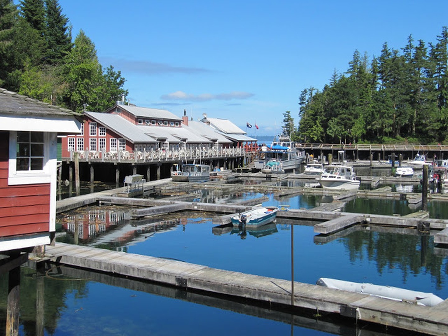 Tide Rip Tours - Telegraph Cove - Vancouver Island - British Columbia - Canada - Doets Reizen
