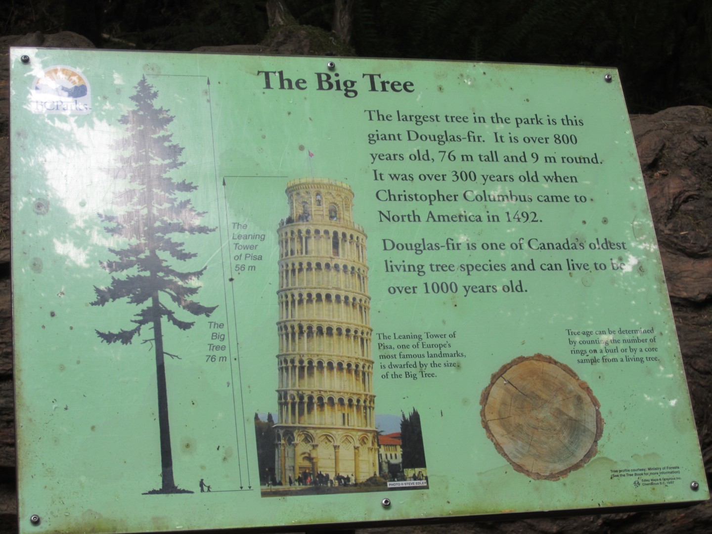 McMIllan Provinciale Park - Cathedral Grove -Vancouver Island - British Columbia - Canada - Doets Reizen