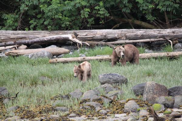 Farewell Harbour Lodge - British Columbia - Canada - Doets Reizen