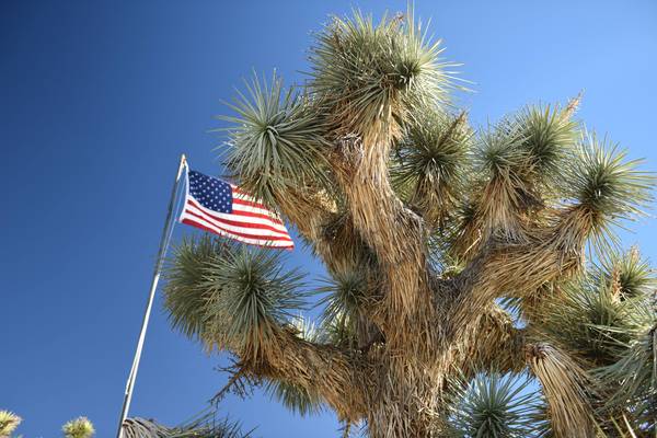 Joshua Tree National Park - California - Amerika - Doets Reizen