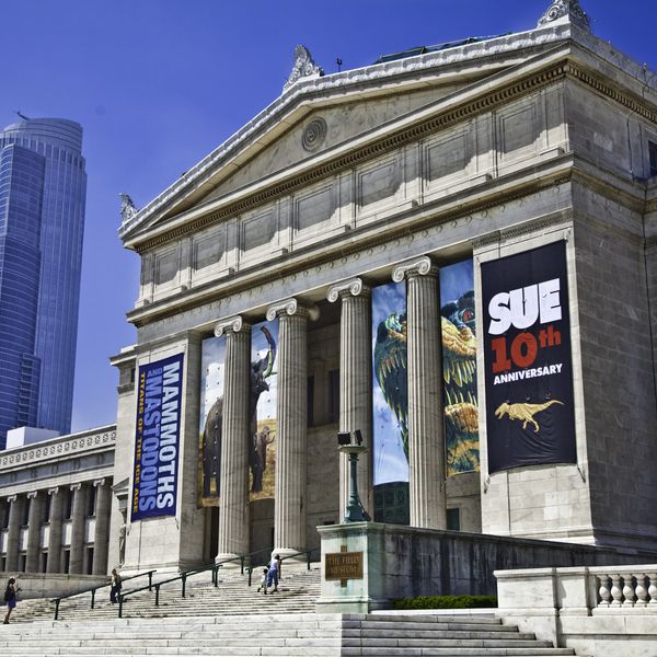 The Field Museum - Chicago - Illinois - Doets Reizen