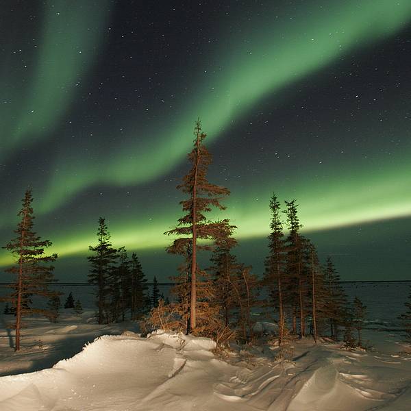 Noorderlicht Churchill - Manitoba - Canada - Doets Reizen