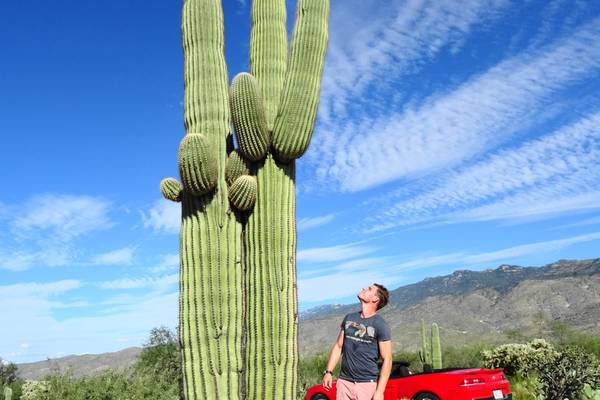 Tucson - Arizona - Doets Reizen