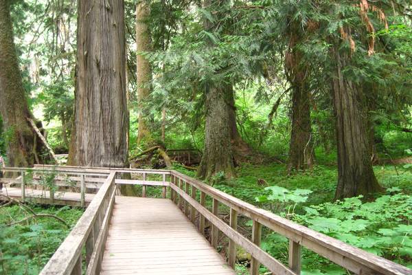 Mount Rainier National Park - Washington State - Doets Reizen