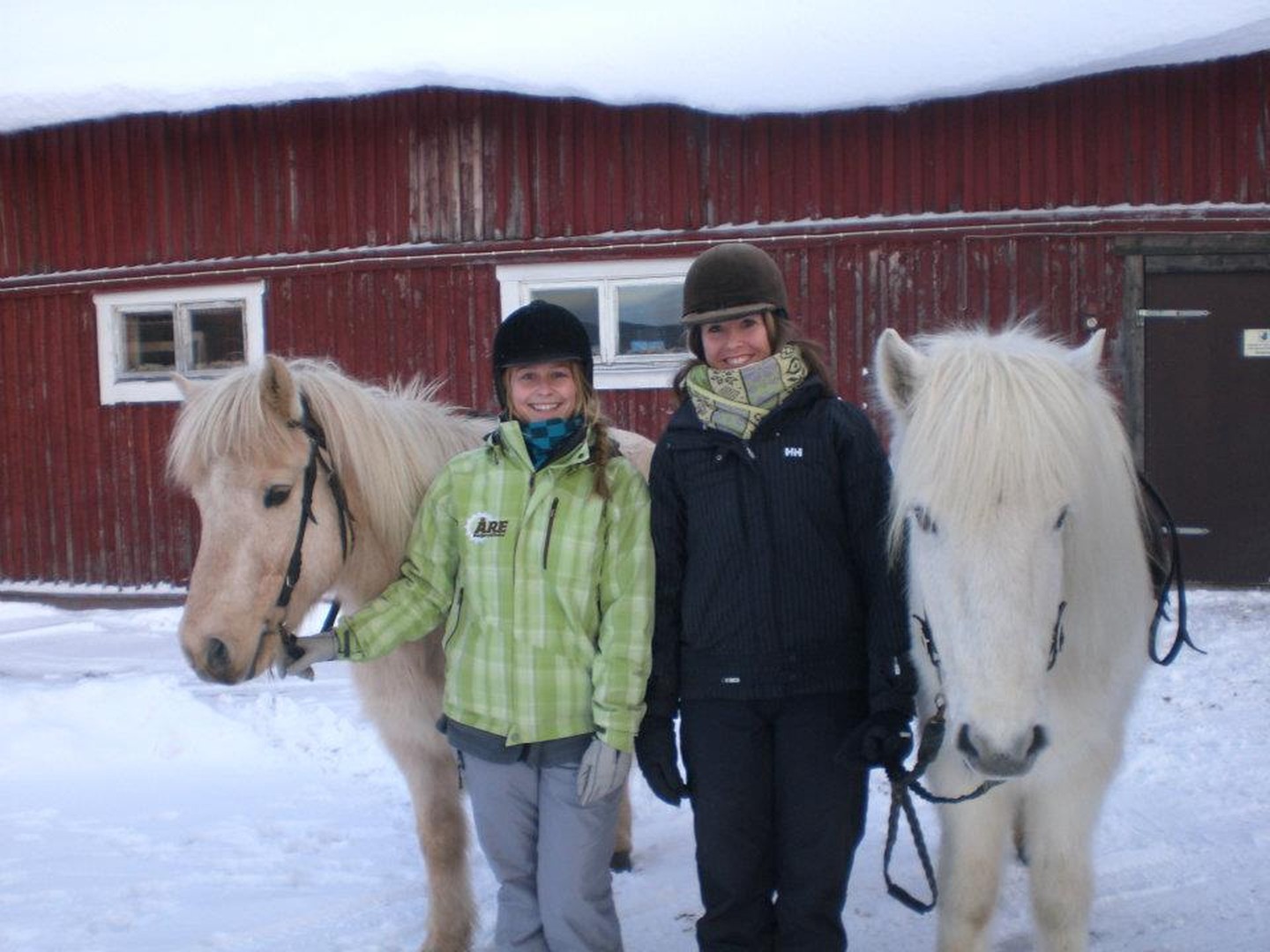 Paarden rijden - Credits Anna Öhlund & imagebank.sweden.se - 2
