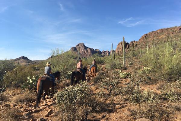 Tucson - Arizona - Doets Reizen