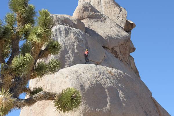 Joshua Tree National Park - California - Amerika - Doets Reizen