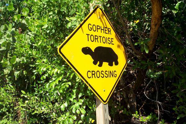 Sanibel Island - Florida - Doets Reizen