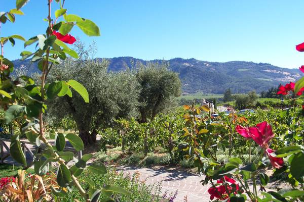 Napa Valley - California - Amerika - Doets Reizen