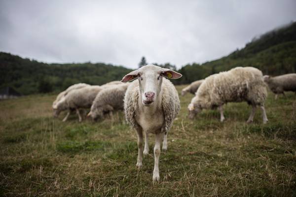 Charlevoix Region - Doets Reizen - Canada - Bonjour Quebec