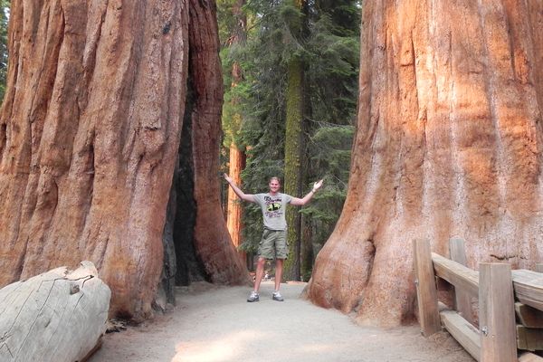 Sequoia National Park - California - Amerika - Doets Reizen