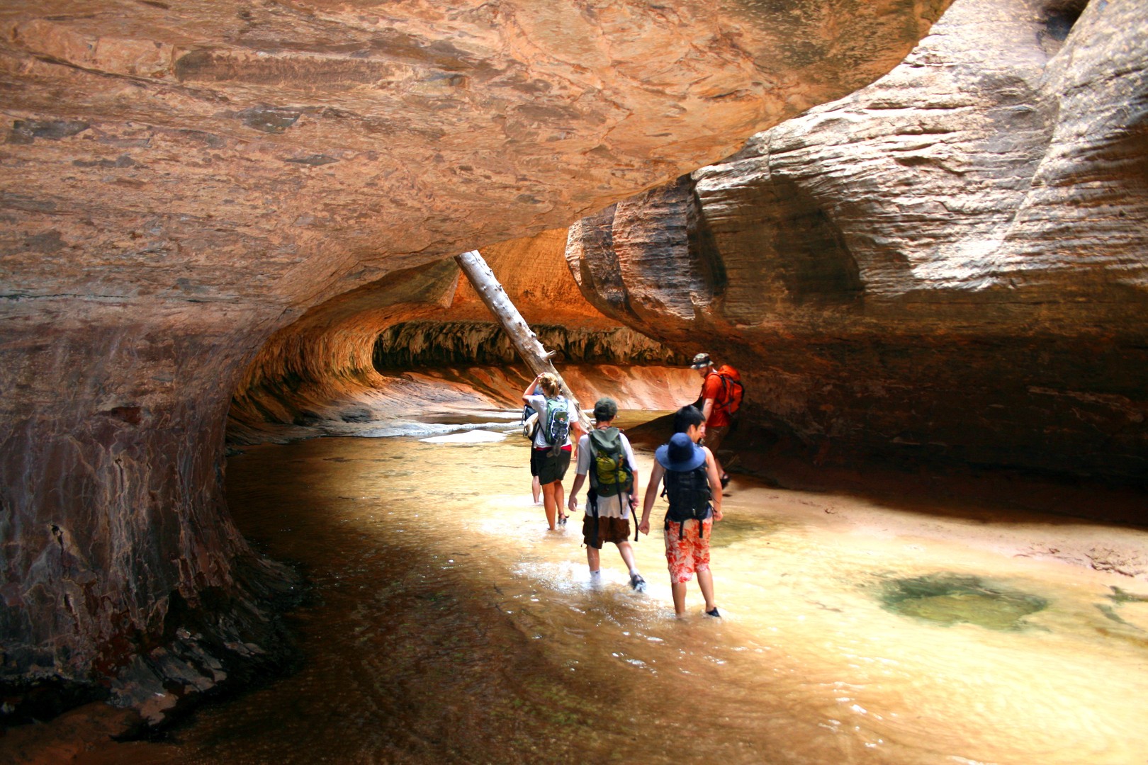 Zion National Park - Utah - Doets Reizen