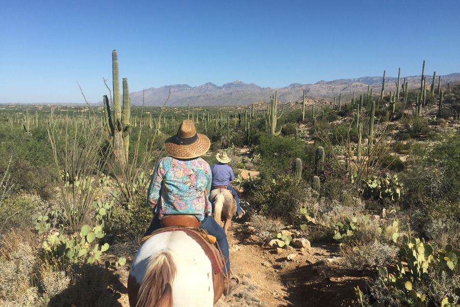 Tucson - Arizona - Doets Reizen