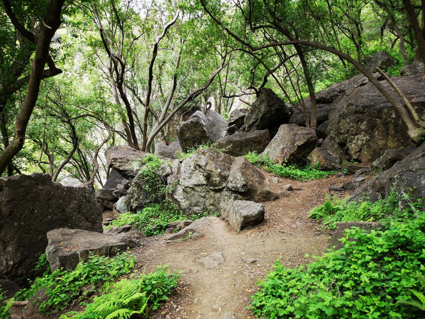 Salmon Creek Trail - Big Sur - Highway 1 - California - Amerika - Doets Reizen