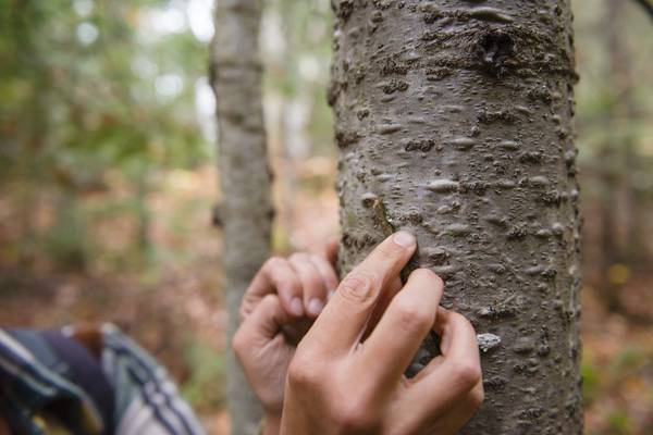 Algonquin Provincial Park - Ontario - Canada - Doets Reizen