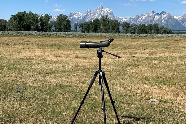 Wildlife Safari - Grand Teton National Park - Wyoming - Doets Reizen
