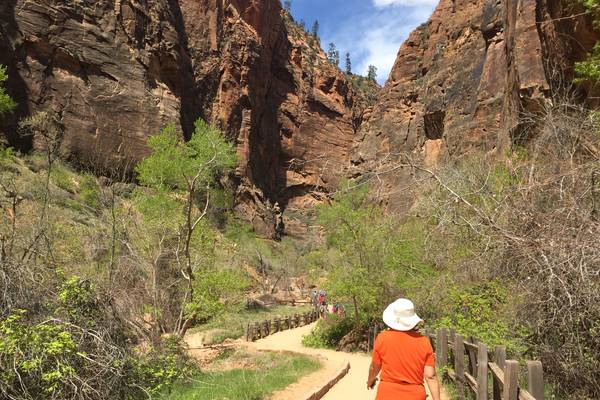 De Riverside Walk - Zion National Park - Utah - Doets Reizen