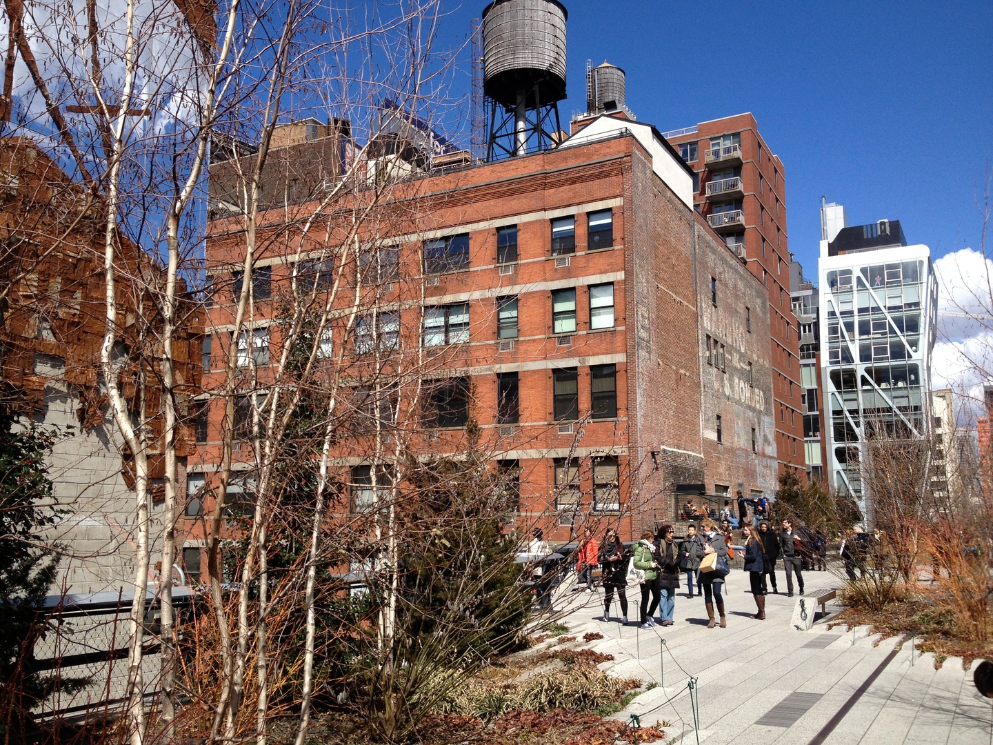Highline Park - New York - Doets Reizen