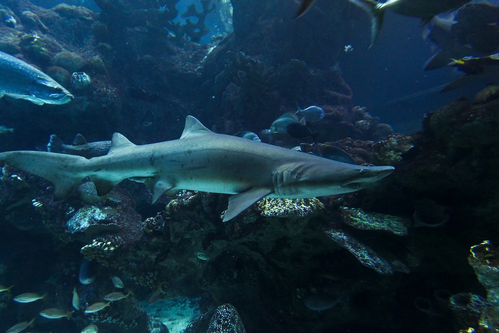 New England Aquarium - Boston - Massachusetts - Doets Reizen