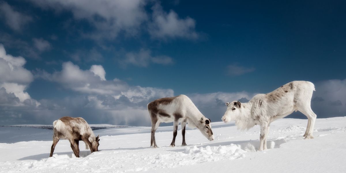 Ivalo - Doets Reizen - Vakantie Finland - Credits VisitFinland