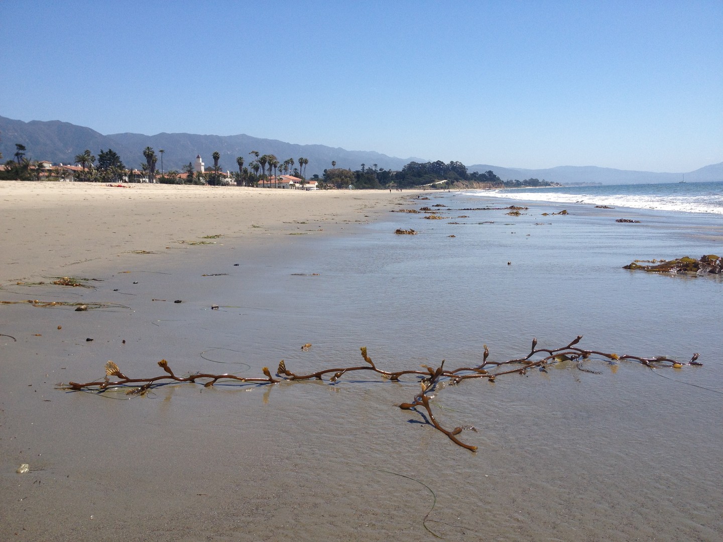 Santa Barbara - California - Amerika - Doets Reizen