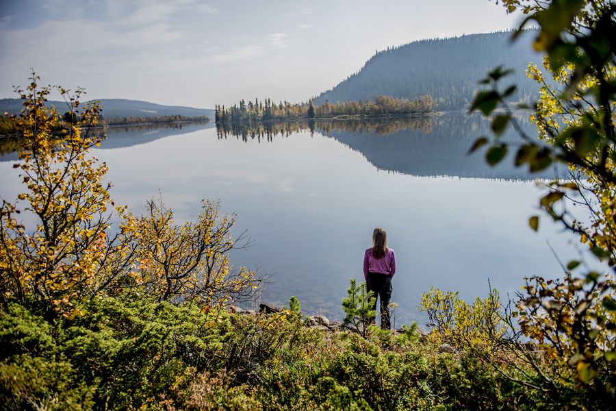 Oslo - Doets Reizen - Vakantie Noorwegen - Credits VisitNorway