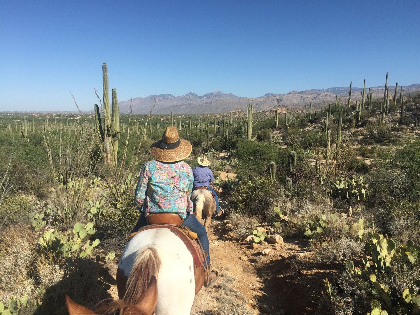 Tucson - Arizona - Doets Reizen