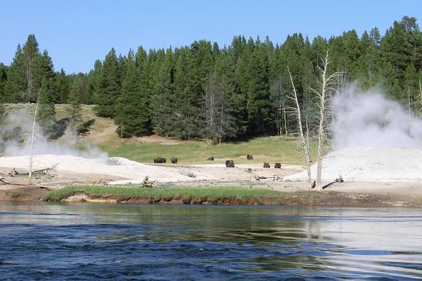 Yellowstone National Park - Wyoming - Doets Reizen