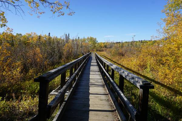 Canyon Creek Bridge - Haines Junction - Yukon - Canada - Doets Reizen