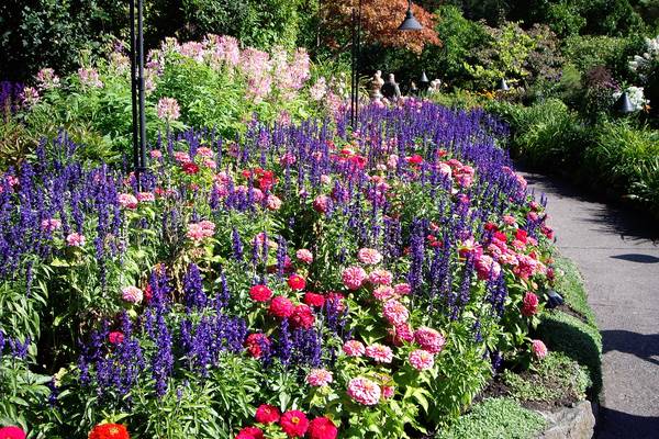 Butchart Gardens - Victoria - Vancouver Island - British Columbia - Canada - Doets Reizen