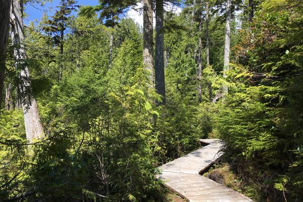Pacific Rim National Park - Vancouver Island - British Columbia - Canada - Doets Reizen