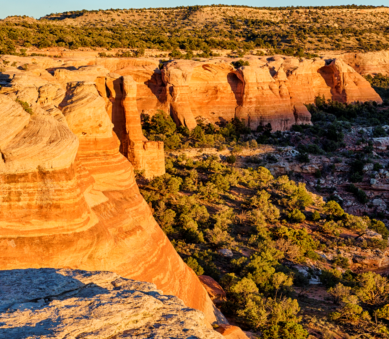 McInnis Canyons National Conservation Area - Grand Junction - Colorado - Doets Reizen