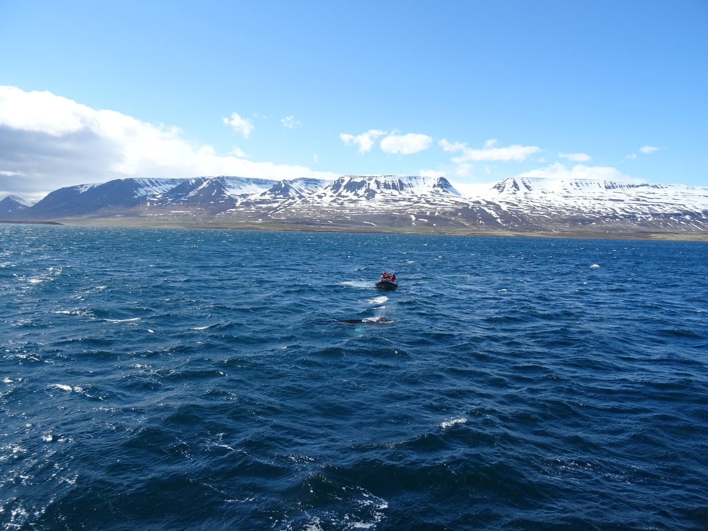 Akureyri - IJsland - Doets Reizen