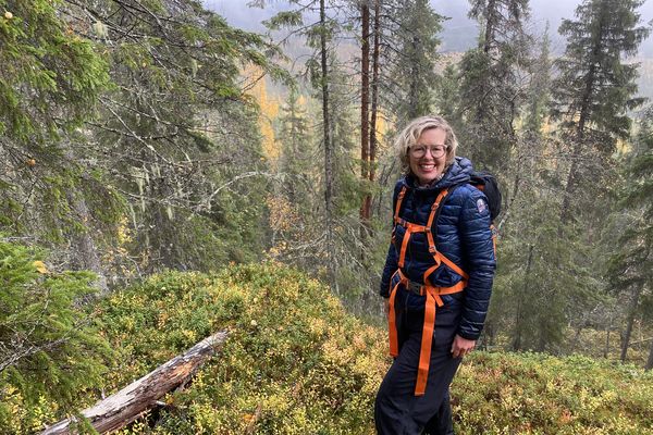 Elske Doets in Zweden - Treehotel Zweden - Treehotel Sweden - Treehotel - Vakantie Zweden - Doets Reizen
