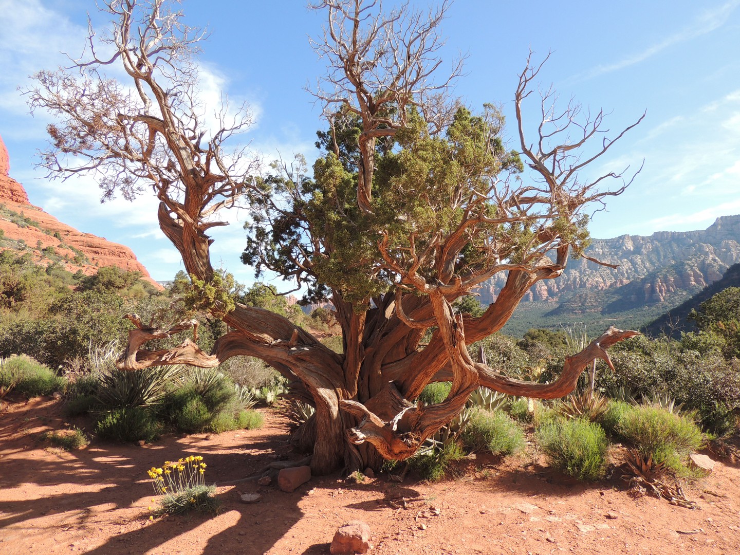 Sedona - Arizona - Doets Reizen