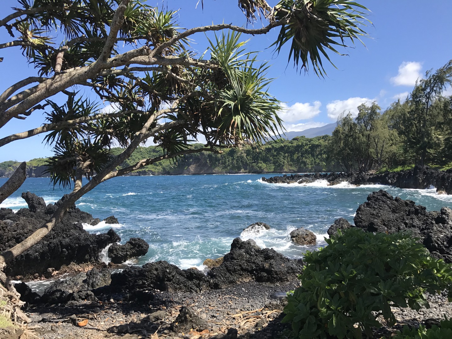 Road to Hana - Maui - Hawaii - Doets Reizen