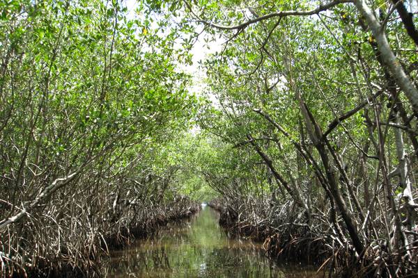Everglades National Park - Florida - Doets Reizen