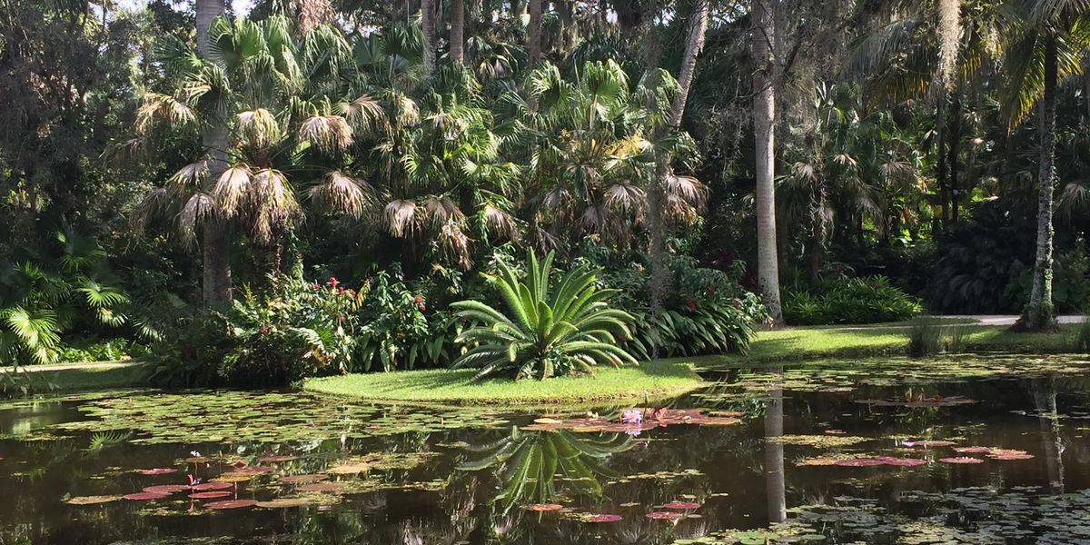 Botanische Tuin - Vero Beach - Florida - Doets Reizen