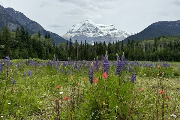 Jasper - Mount Robson - Doets Reizen - Alberta - Canada