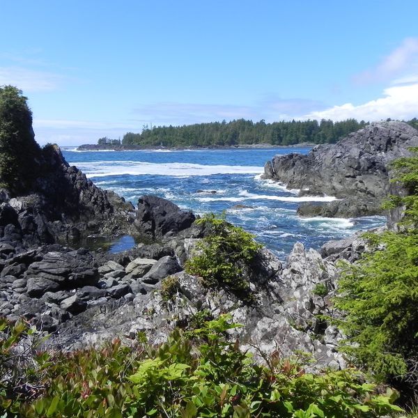Pacific Rim National Park - Vancouver Island - British Columbia - Canada - Doets Reizen