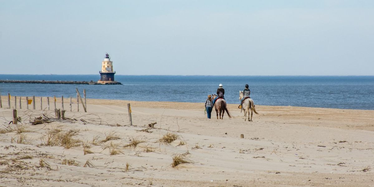 Strand Delware - Amerika - Doets Reizen