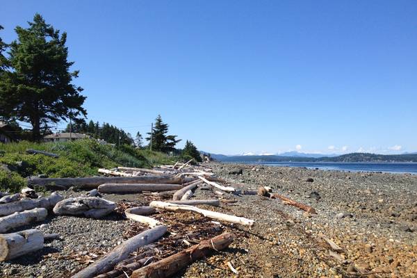 Campbell River - Vancouver Island - British Columbia - Canada - Doets Reizen