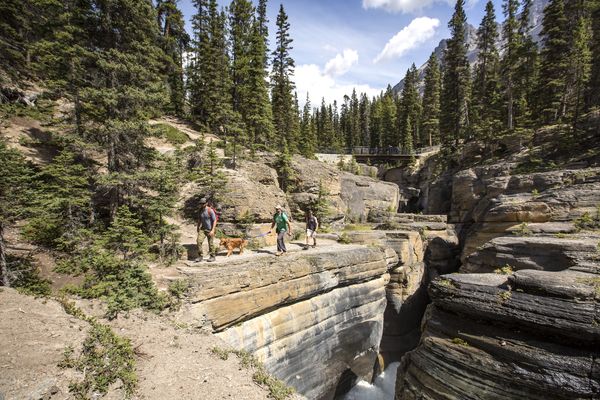 Mistaya Canyon - Banff National Park - Alberta - Canada - Doets Reizen
