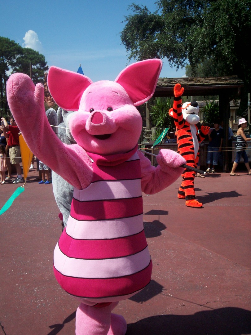 Disneyland - Los Angeles - California - Amerika - Doets Reizen