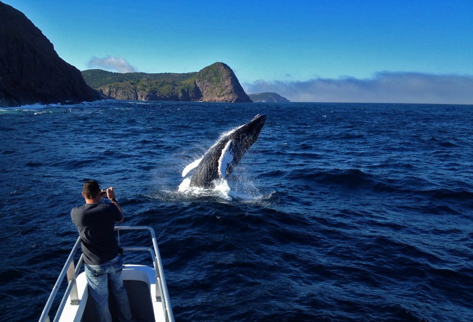 Twillingate - Newfoundland & Labrador - Canada - Doets Reizen